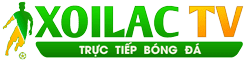 lịch v league 2023